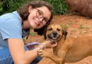 Cachorro caramelo sorri e faz pose em foto com universitária e capivara
