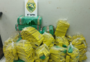 Polícia Militar apreende 502 kg de maconha e recupera veículo furtado na BR-163 em Capitão Leônidas Marques