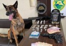 Polícia Militar realiza Operação Encarcerados e cumpre mandados