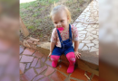 Corpo de menina de 1 ano e 9 meses, morta pelo próprio pai, é encontrado