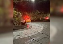 Cerca de 500 kg de sal são espalhados na Serra do Rio do Rastro