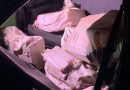 Carga pesada de droga interceptada: 211 kg de maconha apreendidos na BR-467