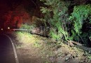 Caminhão sai da pista e tomba na SC-160, no Extremo-Oeste de SC