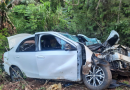 Homem morre após carro colidir contra árvore na PR-281