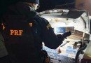 PRF apreende cerca de 5.000 maços de cigarros estrangeiros em Guarapuava