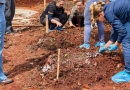 Município recebe curso para implantação e manutenção de horta comunitária