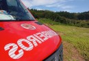 Trabalhador morre atingido por raiz de árvore