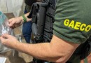 Megaoperação contra organização criminosa em SC já acumula 123 prisões oito meses