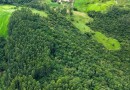 Governo abre inscrições para programa que paga agricultores por preservação ambiental