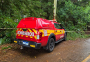 Bombeiros localizam corpo de criança de 8 anos após três dias de buscas em rio de SC