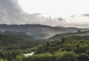 Megaoperação contra desmatamento da Mata Atlântica começa em SC e outros 16 estados