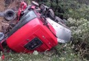 Caminhão tomba e derrama combustível em córrego e mata às margens da SC-110
