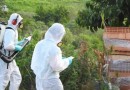 Casos de dengue chegam a 13 no município