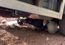 Motociclista morre em acidente envolvendo dois caminhões