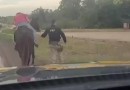 Policiais escoltam homem bêbado que dormia em cima de cavalo no Paraná