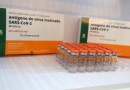 Anvisa determina recolhimento de lotes da CoronaVac