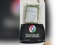Discussão entre casal termina com apreensão de cerca de 100 pés de maconha