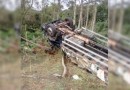 Caminhão que levava doações de Chapecó às vítimas do RS tomba em SC