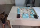 Duas mulheres são presas por tráfico de drogas