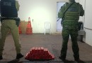 Cães farejadores ajudam polícia a apreender mais de 26 kg de maconha em ônibus