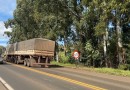 Serra do BNH terá sistema Pare e Siga no sábado (25) para corte preventivo de árvores