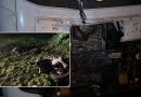 Jovem de 19 anos morre em colisão entre caminhão e moto na PR-182