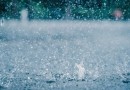Alerta de temporais atinge quase todo o país em meio a onda de calor