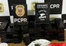 DENARC apreende grande quantidade de drogas após denúncia anônima