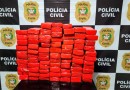 Cerca de 70kg de maconha são apreendidos