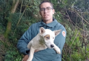 Cão é resgatado após passar quatro dias preso em penhasco de 30 metros