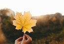Semana será de sol e temperaturas baixas em SC