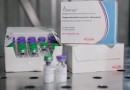 Vacina contra a dengue usada no Brasil é pré-qualificada pela OMS