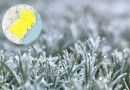 Mínimas de até 3°C e alerta de geada surpreendem quase 700 cidades do Sul do Brasil; veja onde o frio será maior