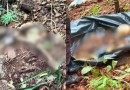Ossada humana é encontrada em área de mata em SC
