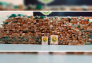 Caminhão escondia quase uma tonelada de maconha em fundo falso na PR-483