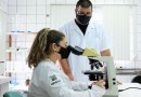 SC terá testes de vacina inédita no mundo contra toxoplasmose em gatos