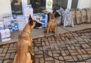 BPFRON apreende arma e mais de dois mil maços de cigarros contrabandeados