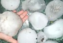 Granizo gigante assusta moradores na Argentina e imagens impressionam