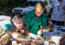 UFFS desenvolve projeto para atendimento de animais silvestres da região