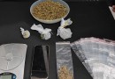Cão farejador ajuda PM a localizar drogas e homem é preso por tráfico no Oeste