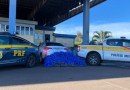 300 kg de maconha são apreendidos em carro roubado na BR-153