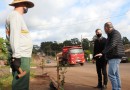 Município dá exemplo com o plantio de quase 200 mudas de árvores