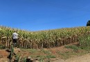 Sicoob e Epagri promovem Giro da Safra no Oeste de SC