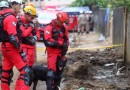 Paraná manda mais sete bombeiros e três cães para ajudar o Rio Grande do Sul