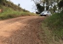 Melhorias na linha Bela Vista a partir desta quarta-feira