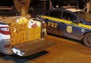 PRF apreende cerca de uma tonelada de queijo trazido ilegalmente da Argentina