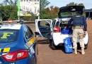 PRF apreende quase 94 kg de maconha e prende homem