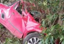 Idoso morre após carro atingir árvore em rodovia de Santa Catarina