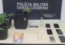 Cheiro forte chama a atenção e estufa de maconha improvisada em apartamento é descoberta em SC