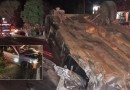 Colisão frontal termina com um morto e três feridos na SC-283